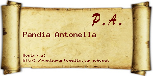 Pandia Antonella névjegykártya